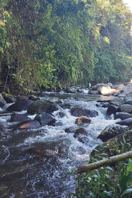 Cantinho Na Natureza Araquari Kültér fotó